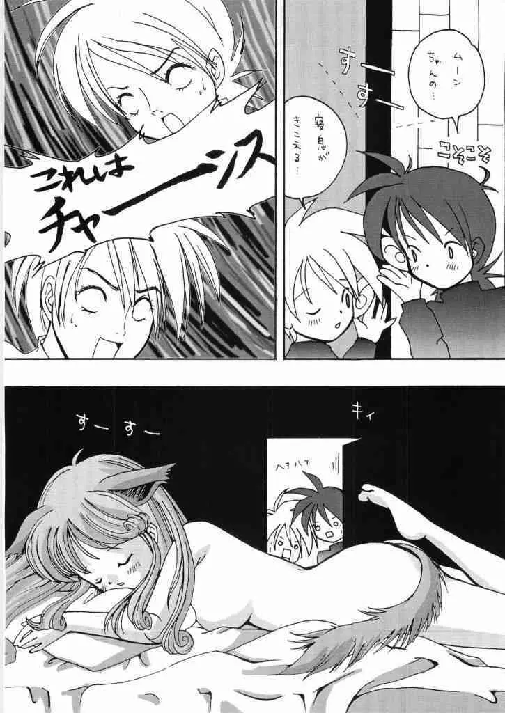 レイクナバ肉の行進 Page.61