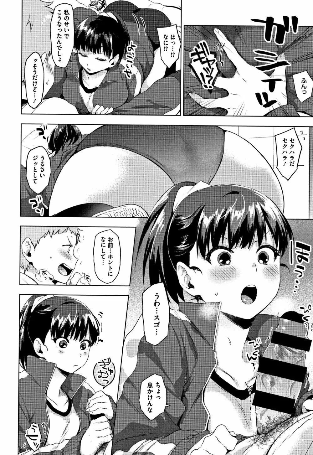 すきあつめ + 4Pリーフレット Page.113