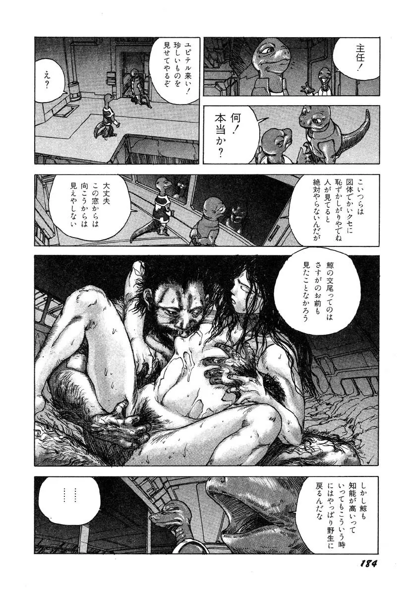 凸凹ニンフォマニア Page.185