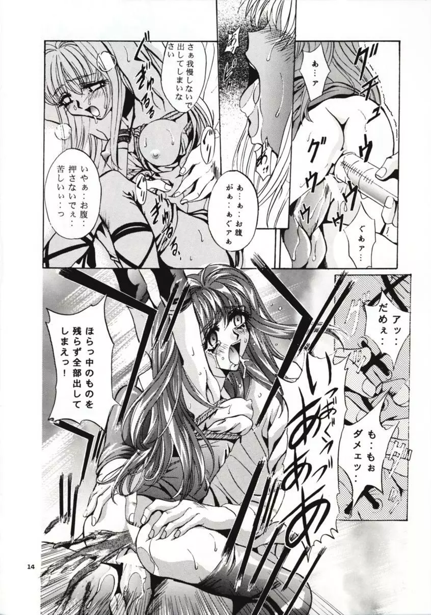 SHADOW CANVAS 8 Page.13