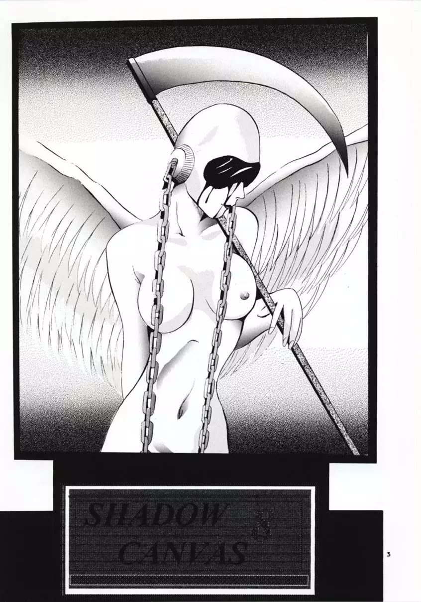SHADOW CANVAS 8 Page.2