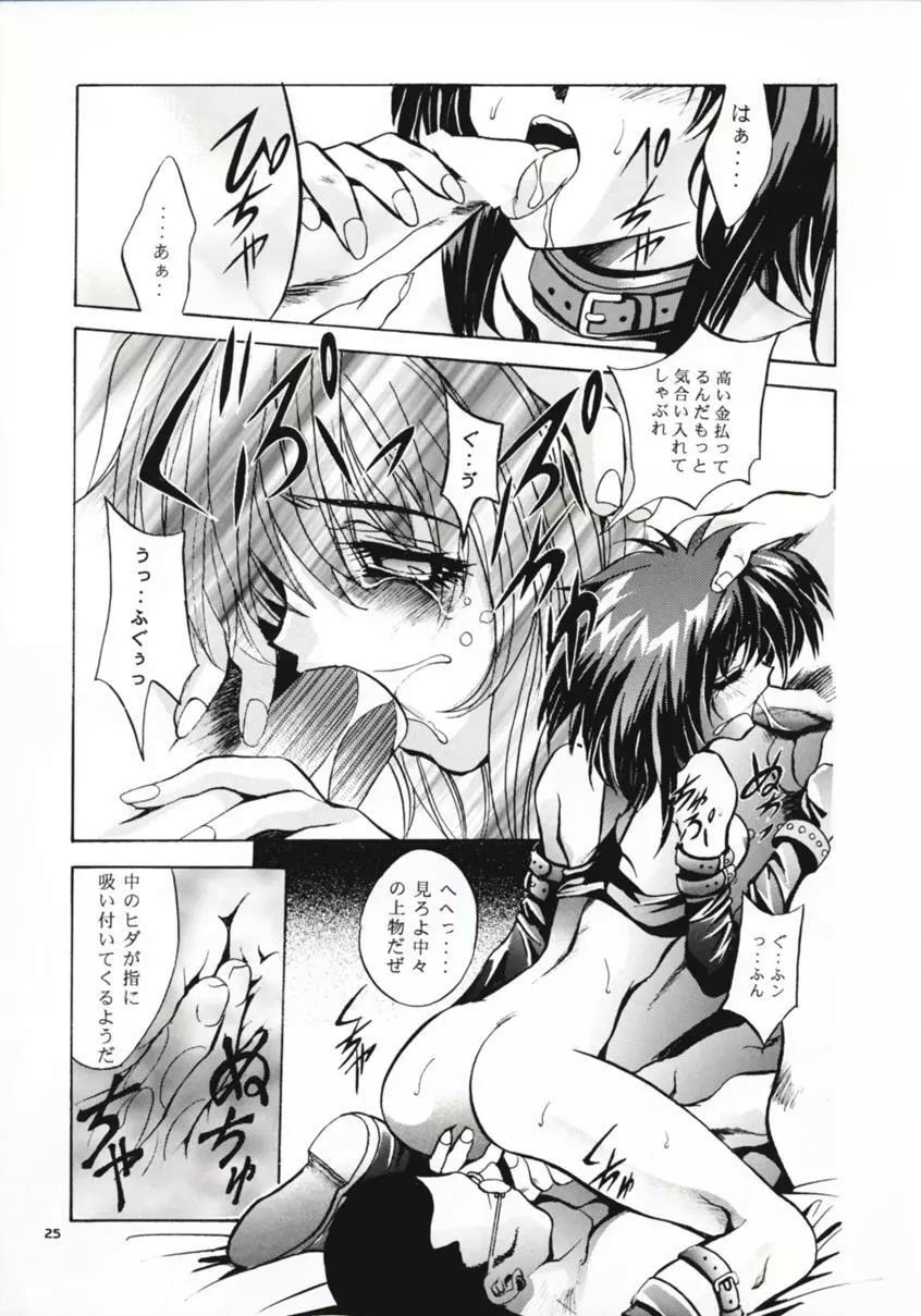 SHADOW CANVAS 8 Page.24