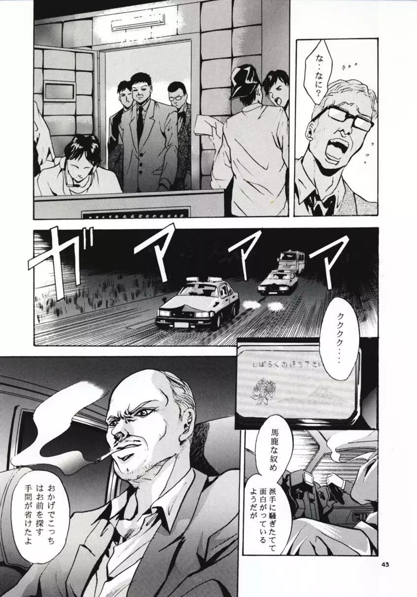 SHADOW CANVAS 8 Page.42