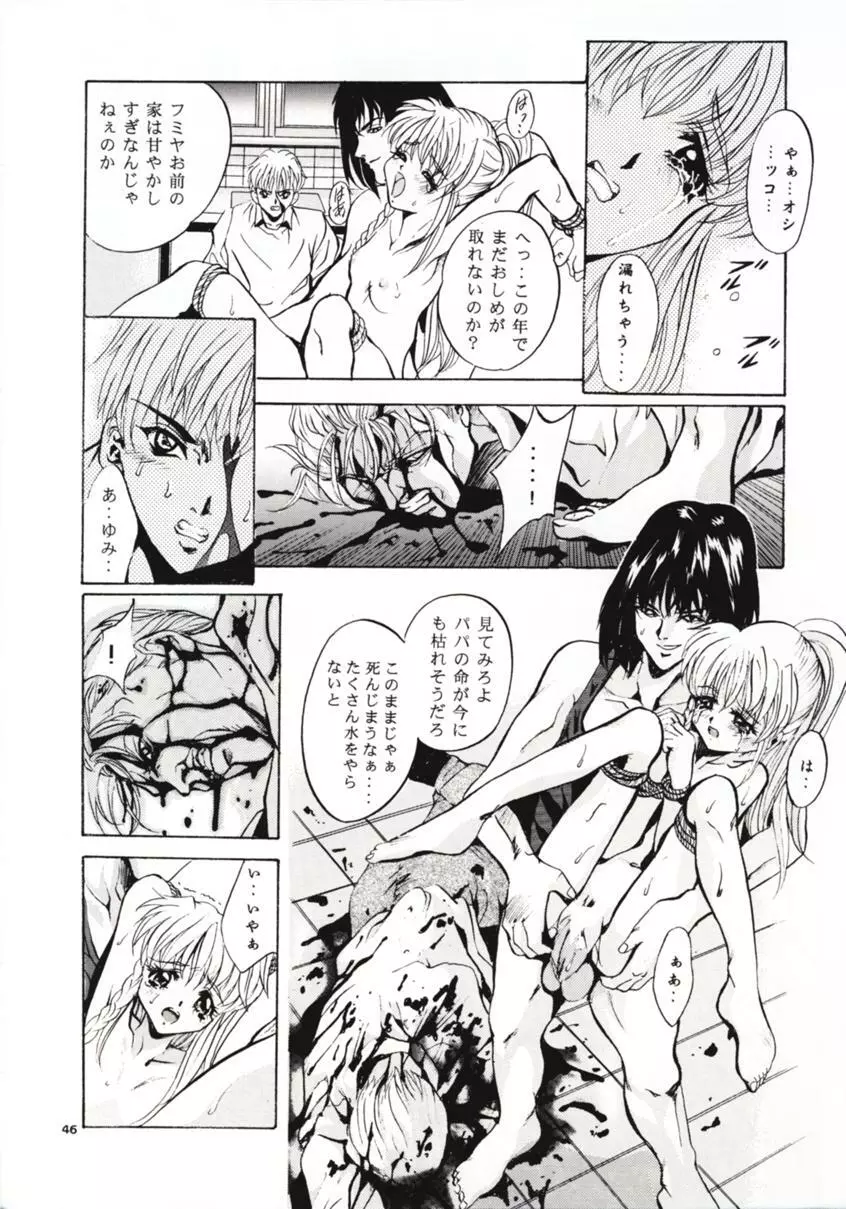 SHADOW CANVAS 8 Page.45