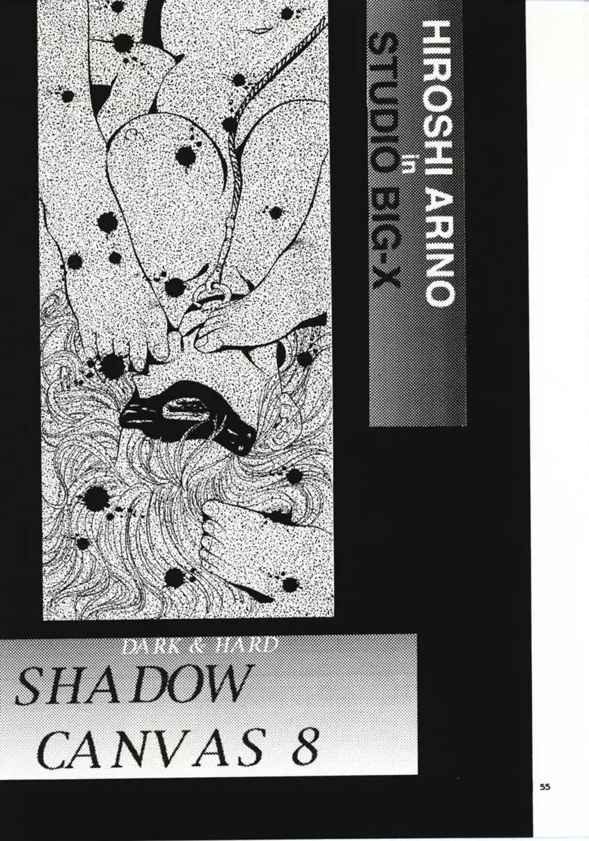 SHADOW CANVAS 8 Page.54