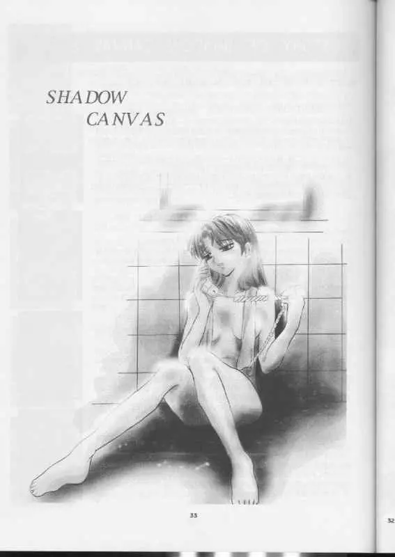 SHADOW CANVAS 10 Page.32