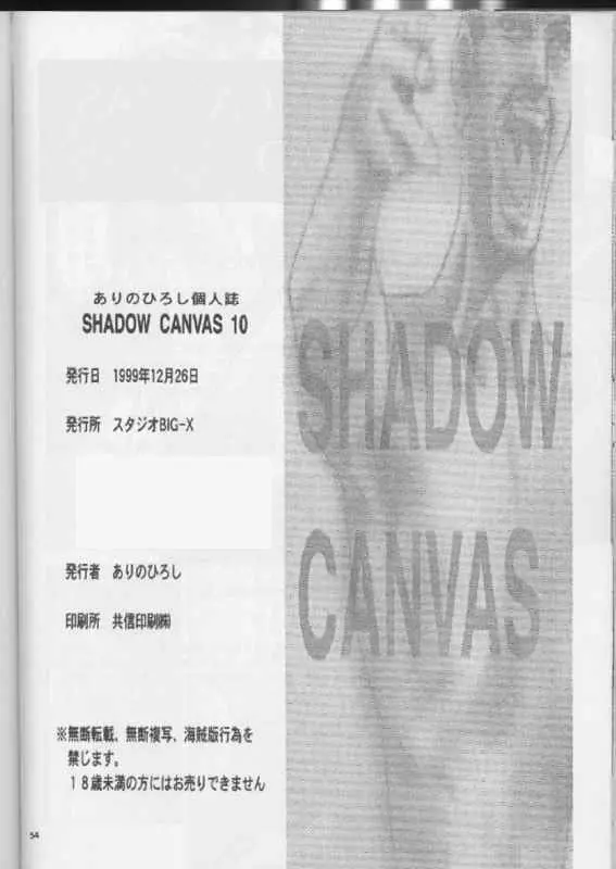 SHADOW CANVAS 10 Page.53
