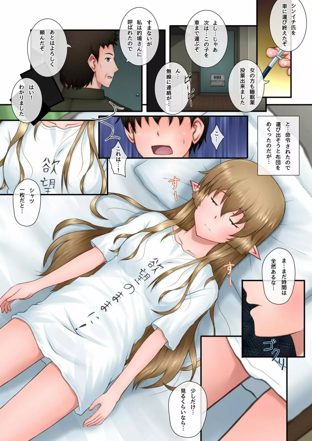 眠っているとあるハーフエルフの娘にいたずらっ!! Page.4