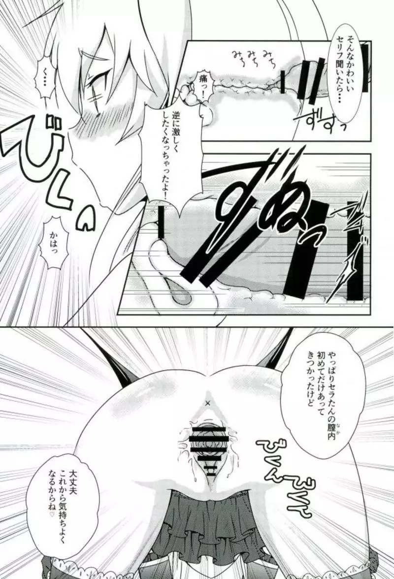 セラータのテニス向上委員会 Page.12