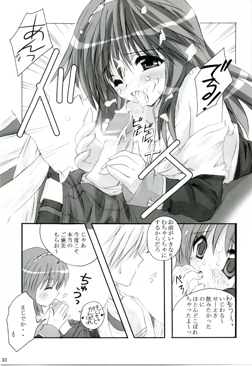 MIX RagnarokOnline Soushuuhen Page.32