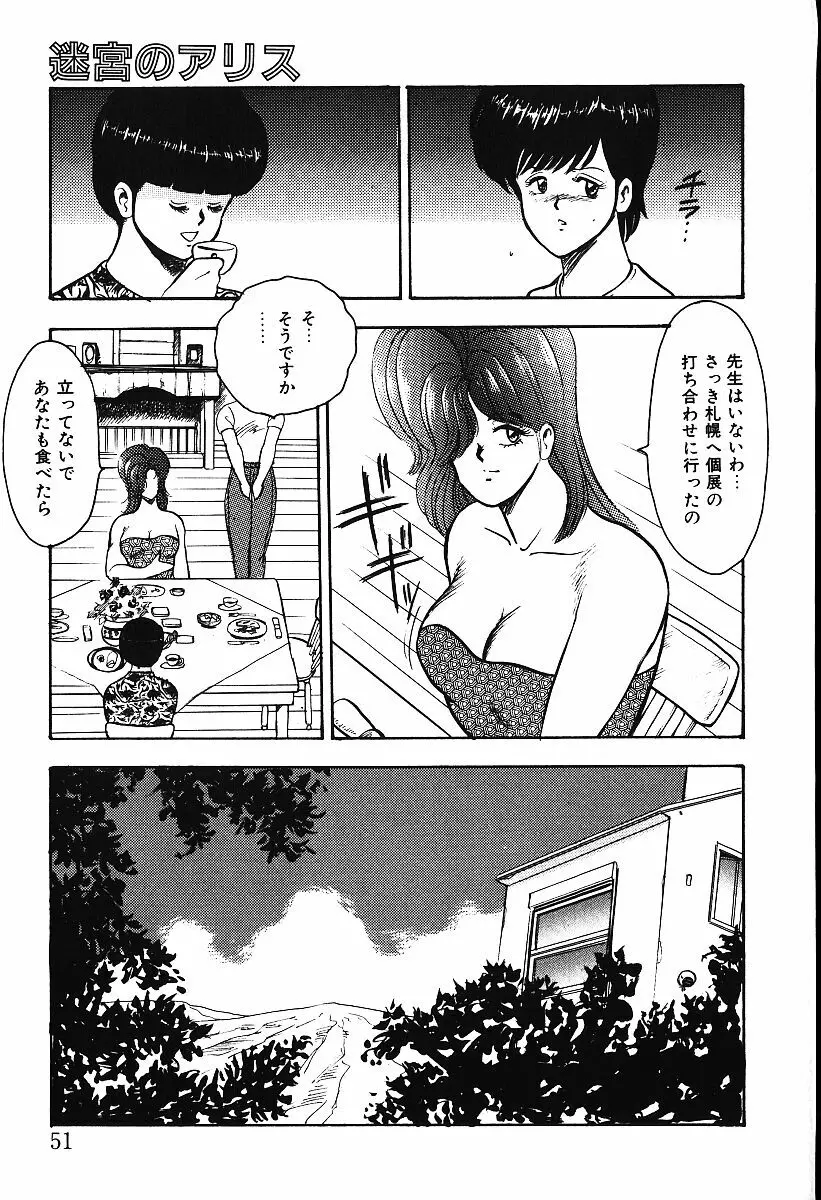 迷宮のアリス Page.48