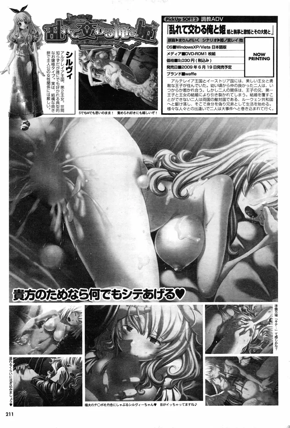 COMIC プルメロ 2009年6月号 Vol.30 Page.211