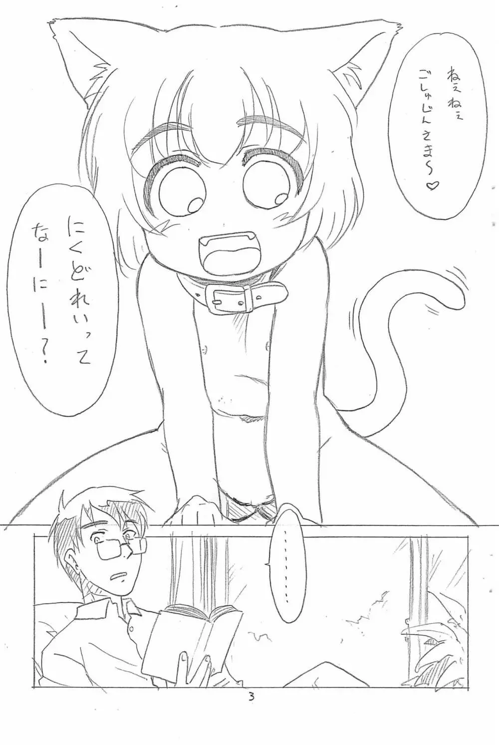 ひなと愉快なご主人さま。 Page.3