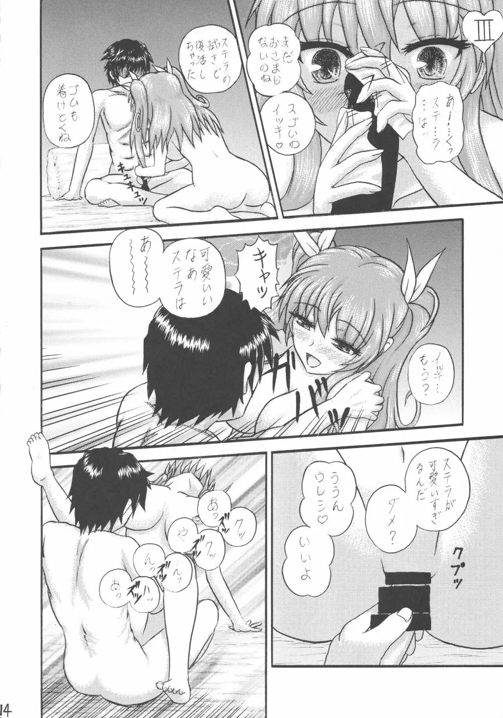 運命先夜の聖儀式 Page.14