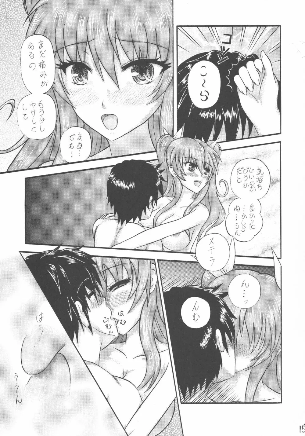 運命先夜の聖儀式 Page.15