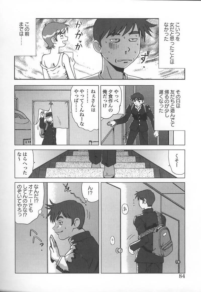 姉弟恋歌 3 Page.87