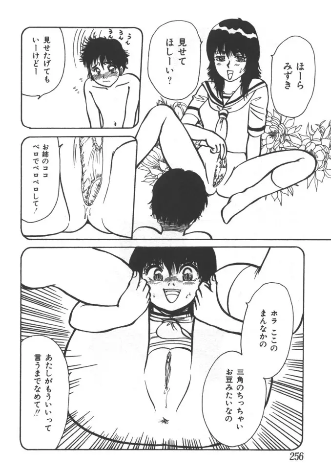 姉弟恋歌 5 Page.256