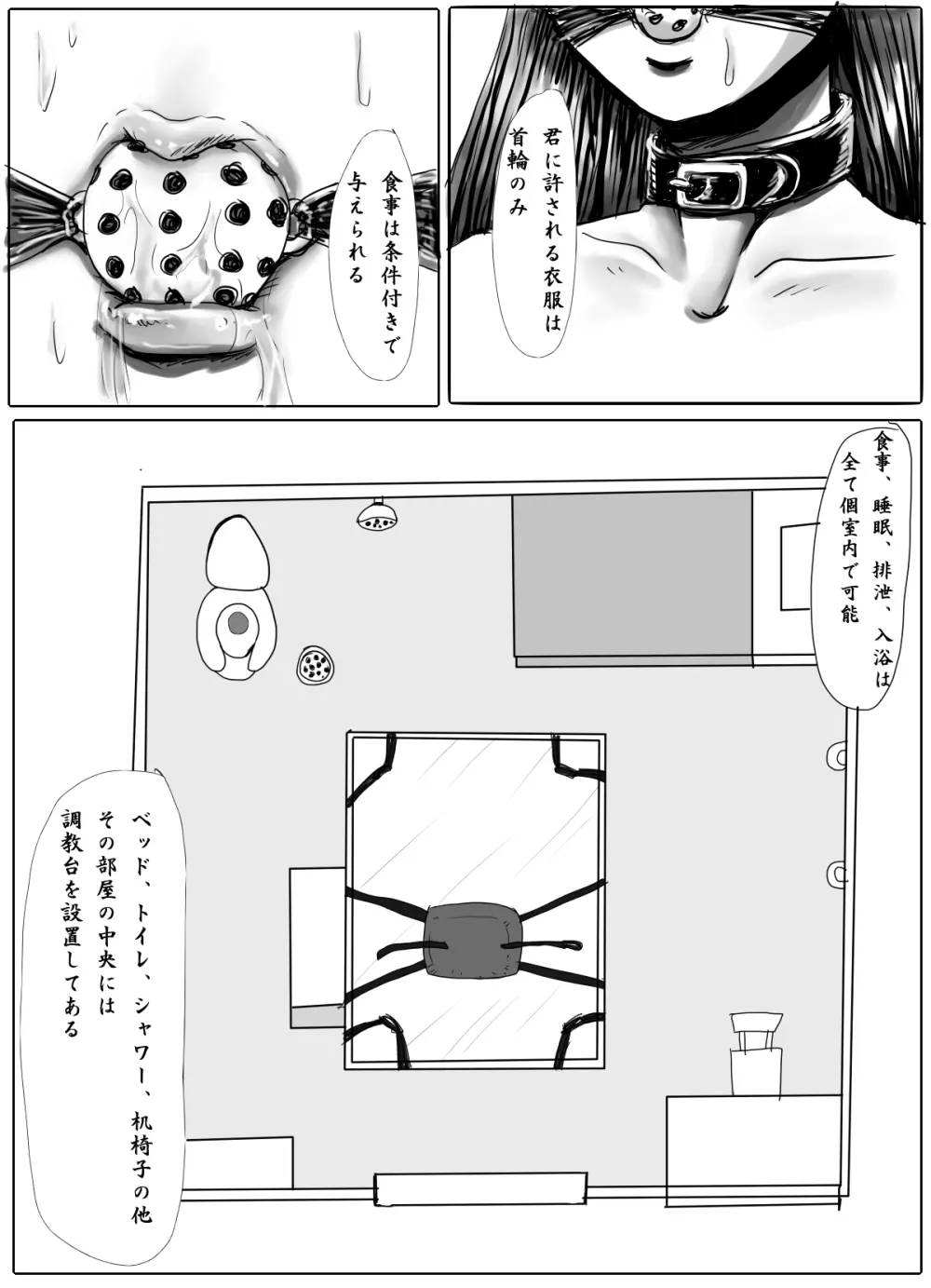 女学生監禁調教～拘束針刺し電流～ Page.4