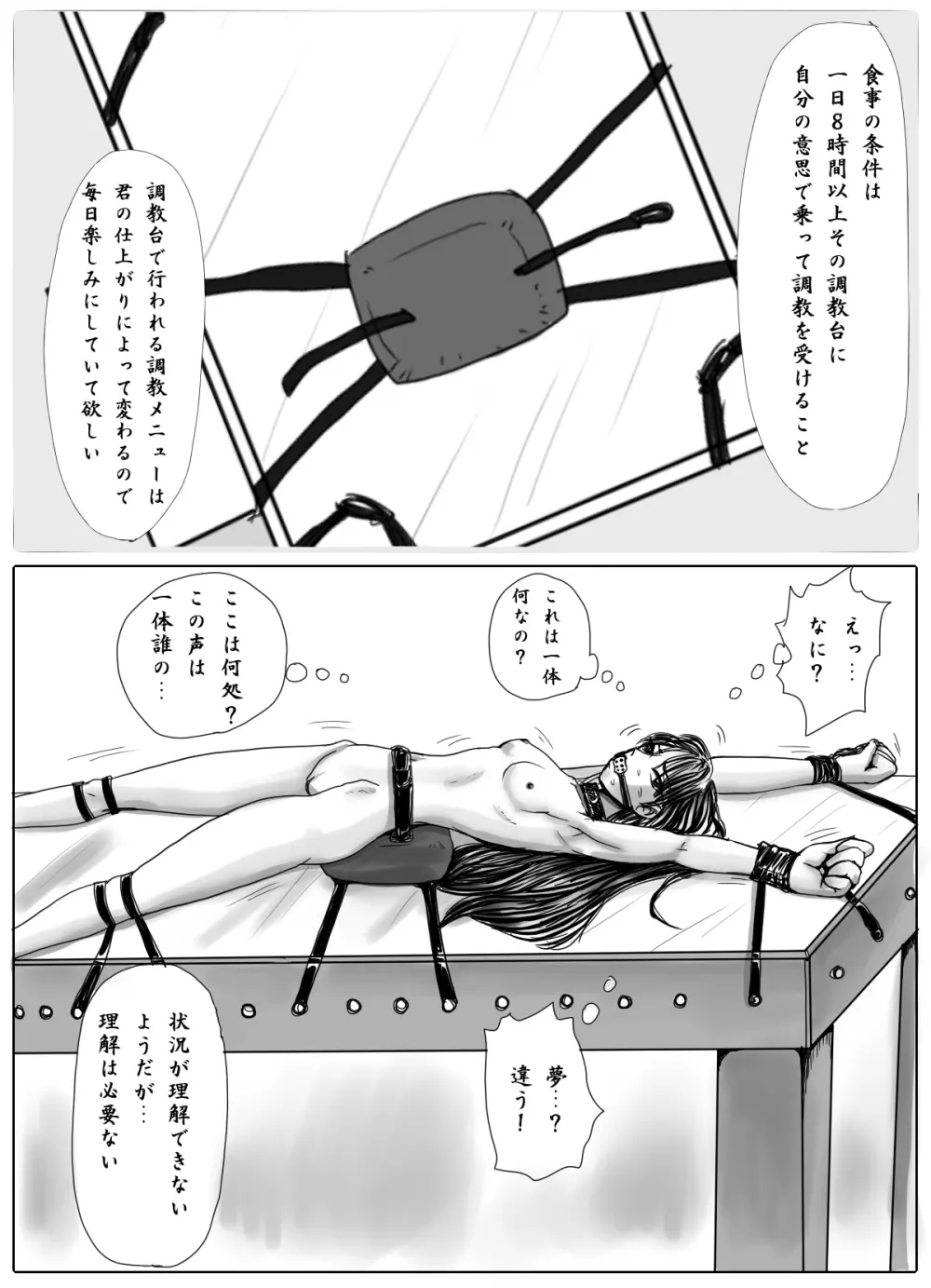 女学生監禁調教~拘束針刺し電流~ Page.5
