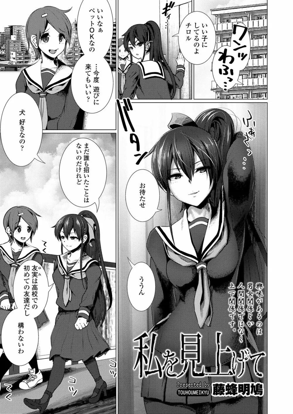 ガールズフォーム Vol.17 Page.313