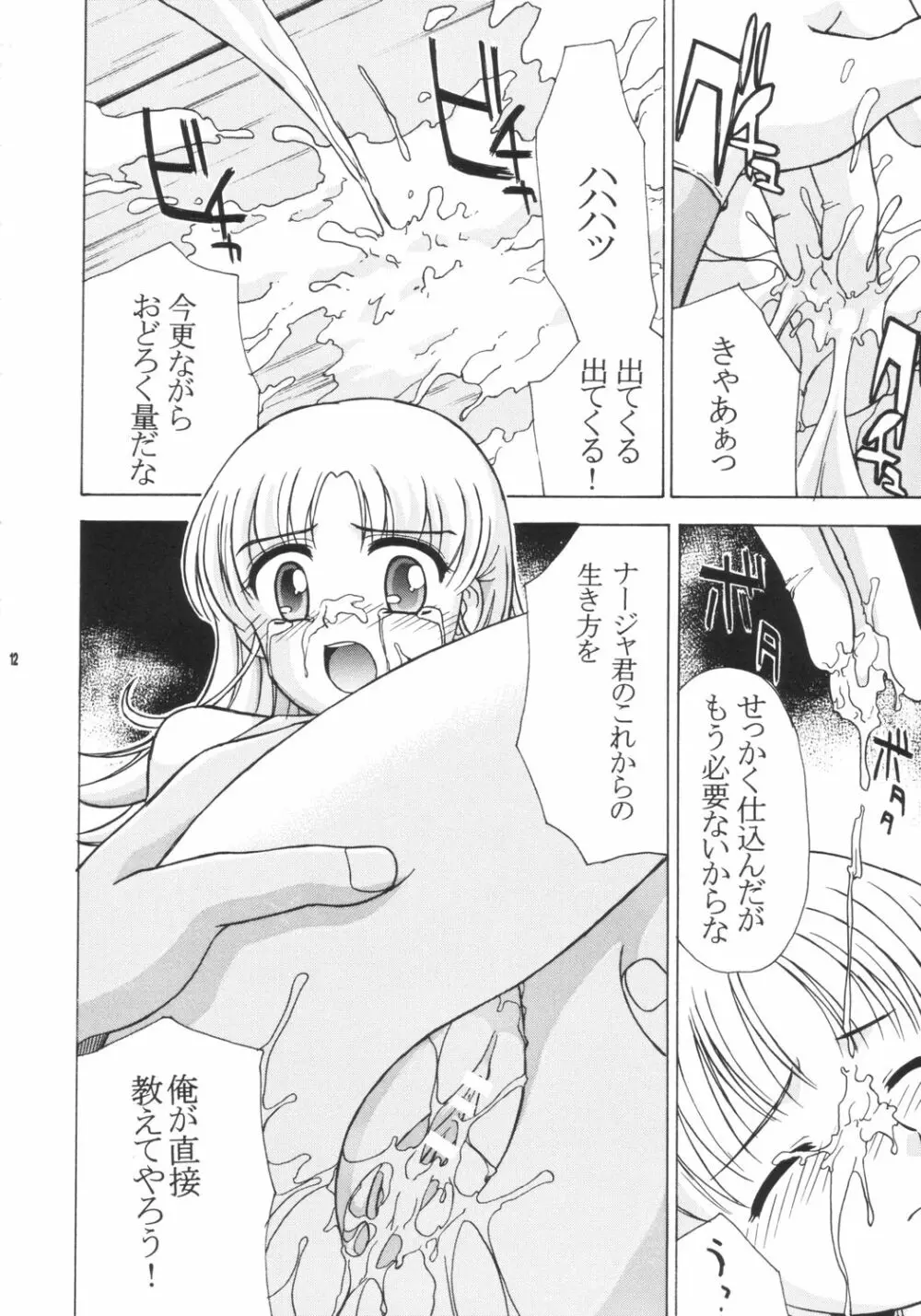 ナジャラジャ Page.11