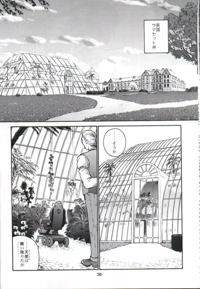 ダルシーレポート 1 Page.29