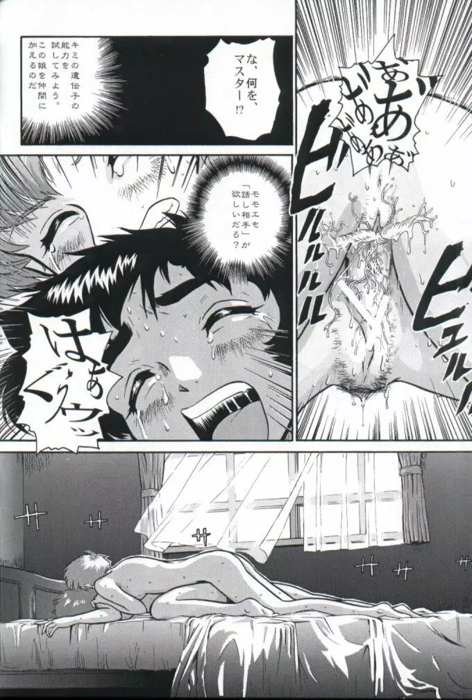 ダルシーレポート 1 Page.41