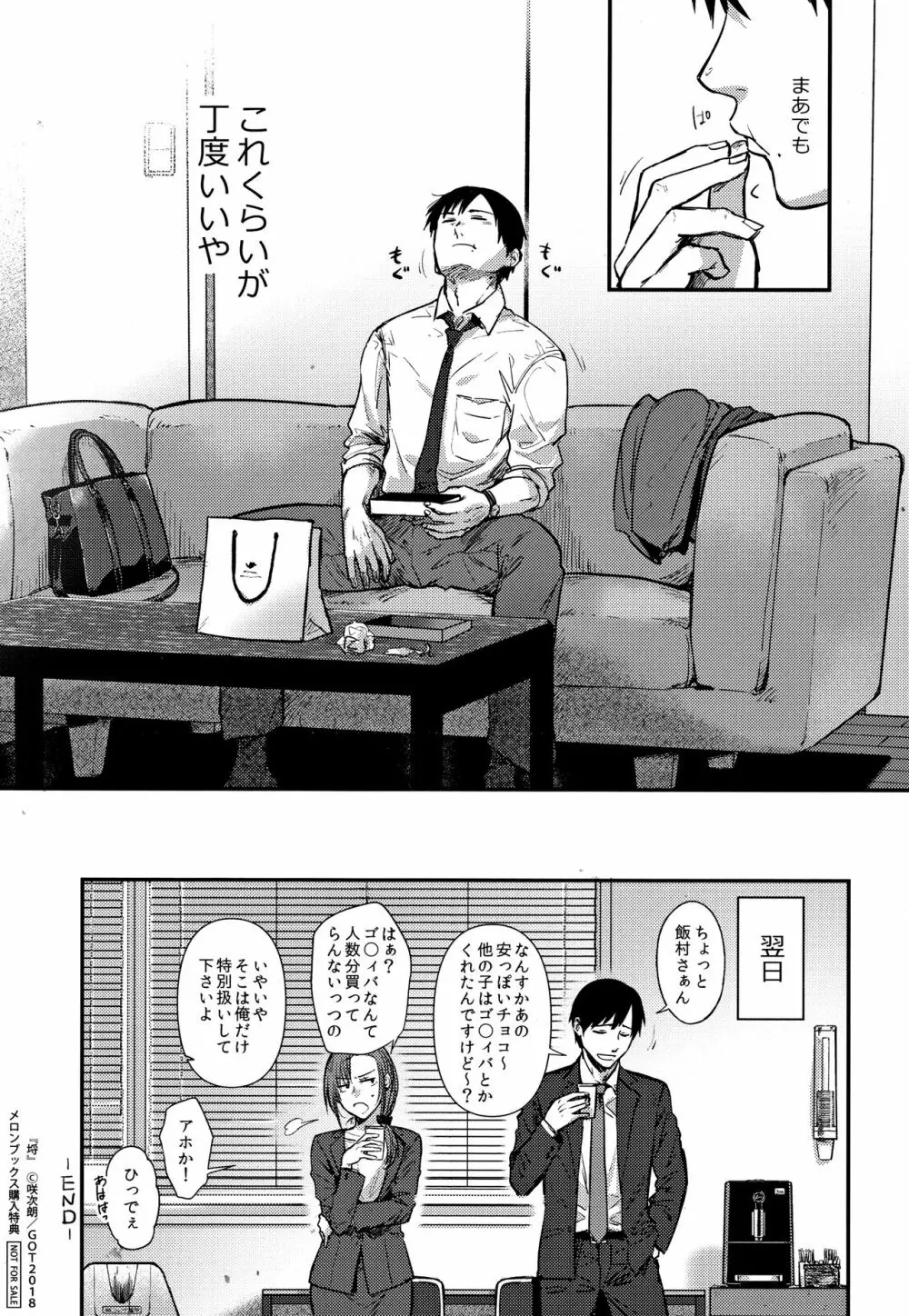 埒 + 4Pリーフレット Page.249