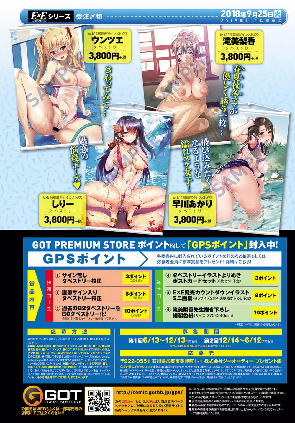 COMIC アンスリウム 2018年10月号 Page.313