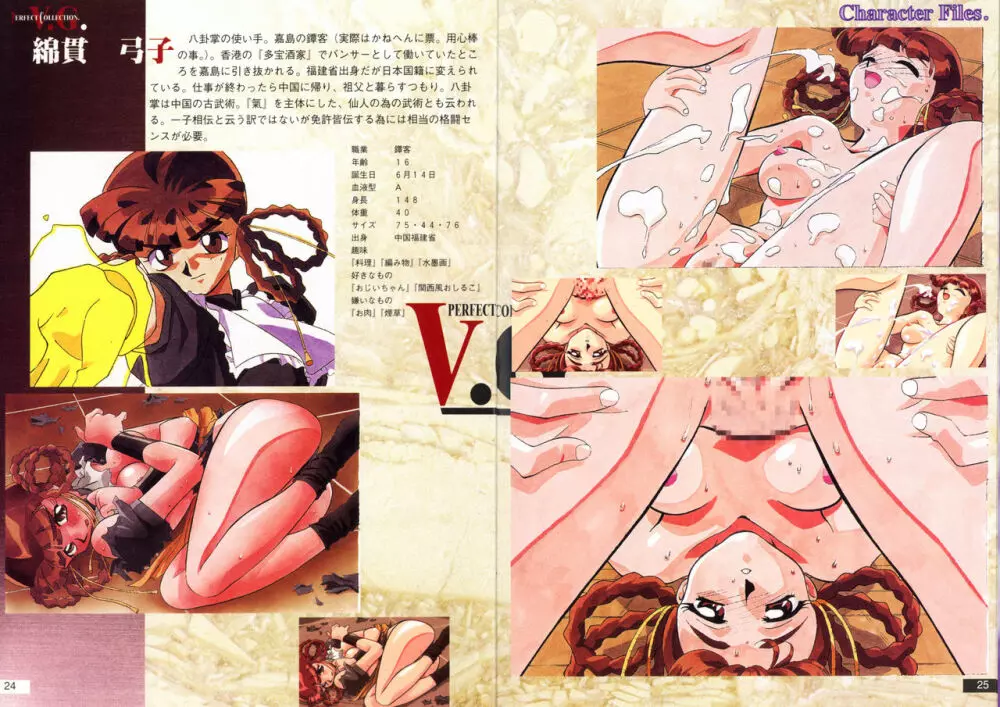V.G.Perfect Collection Illustrations Page.13