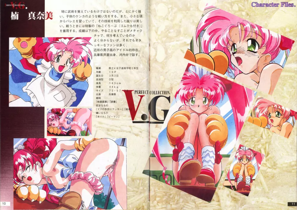 V.G.Perfect Collection Illustrations Page.6