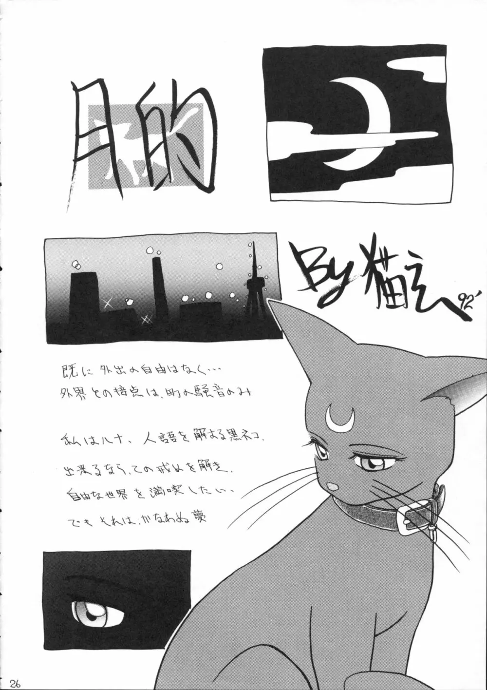 酷い本 Page.25