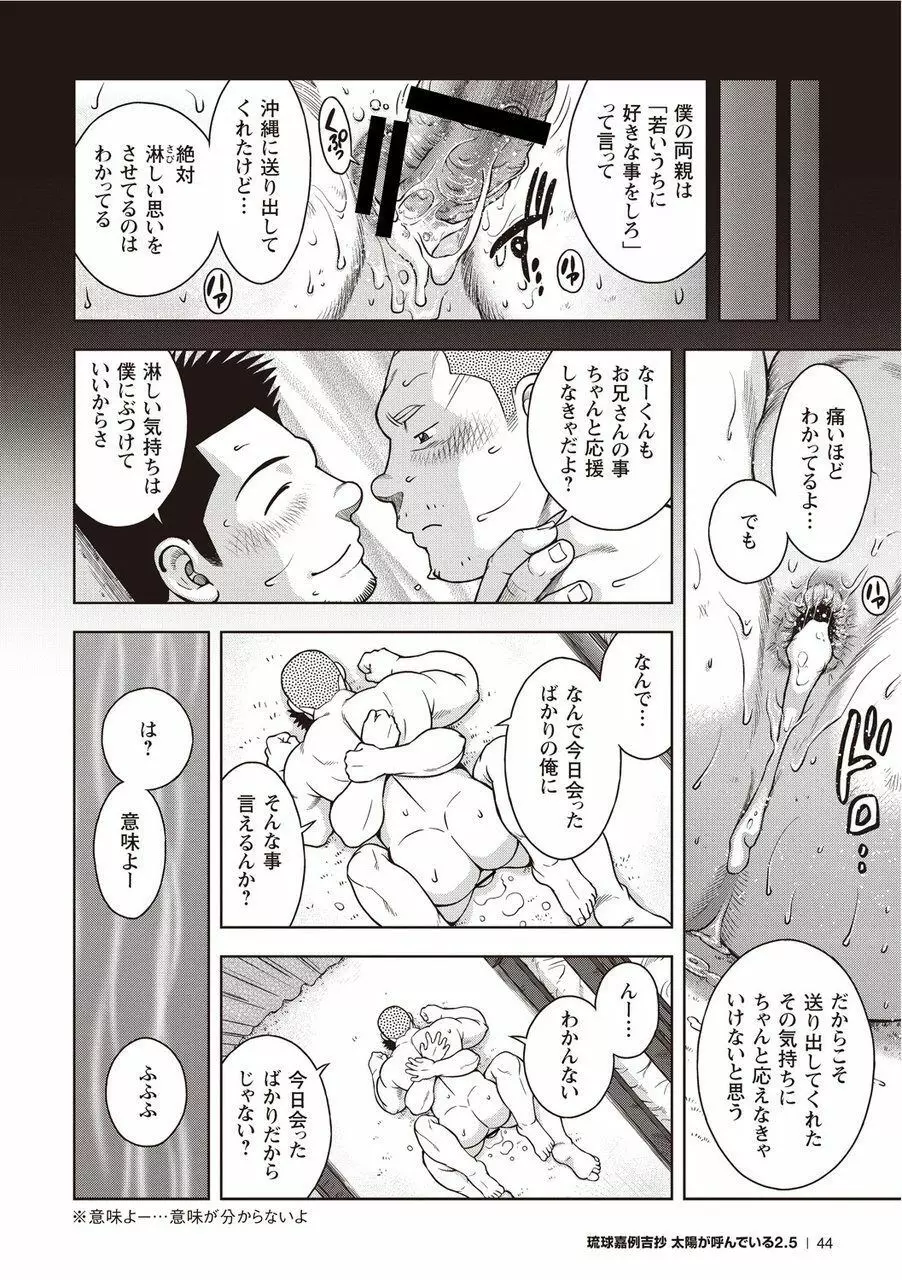 太陽が呼んでいる2.5 Page.45