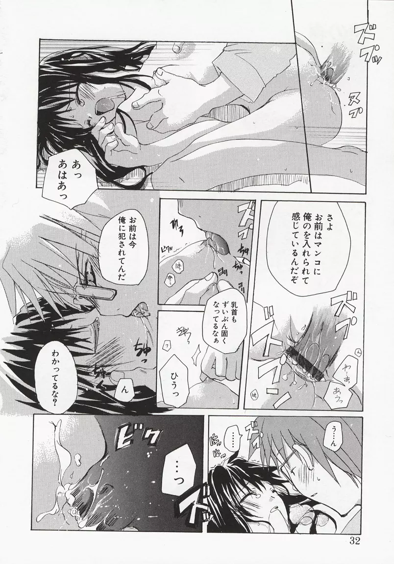 恋の花小箱 Page.30