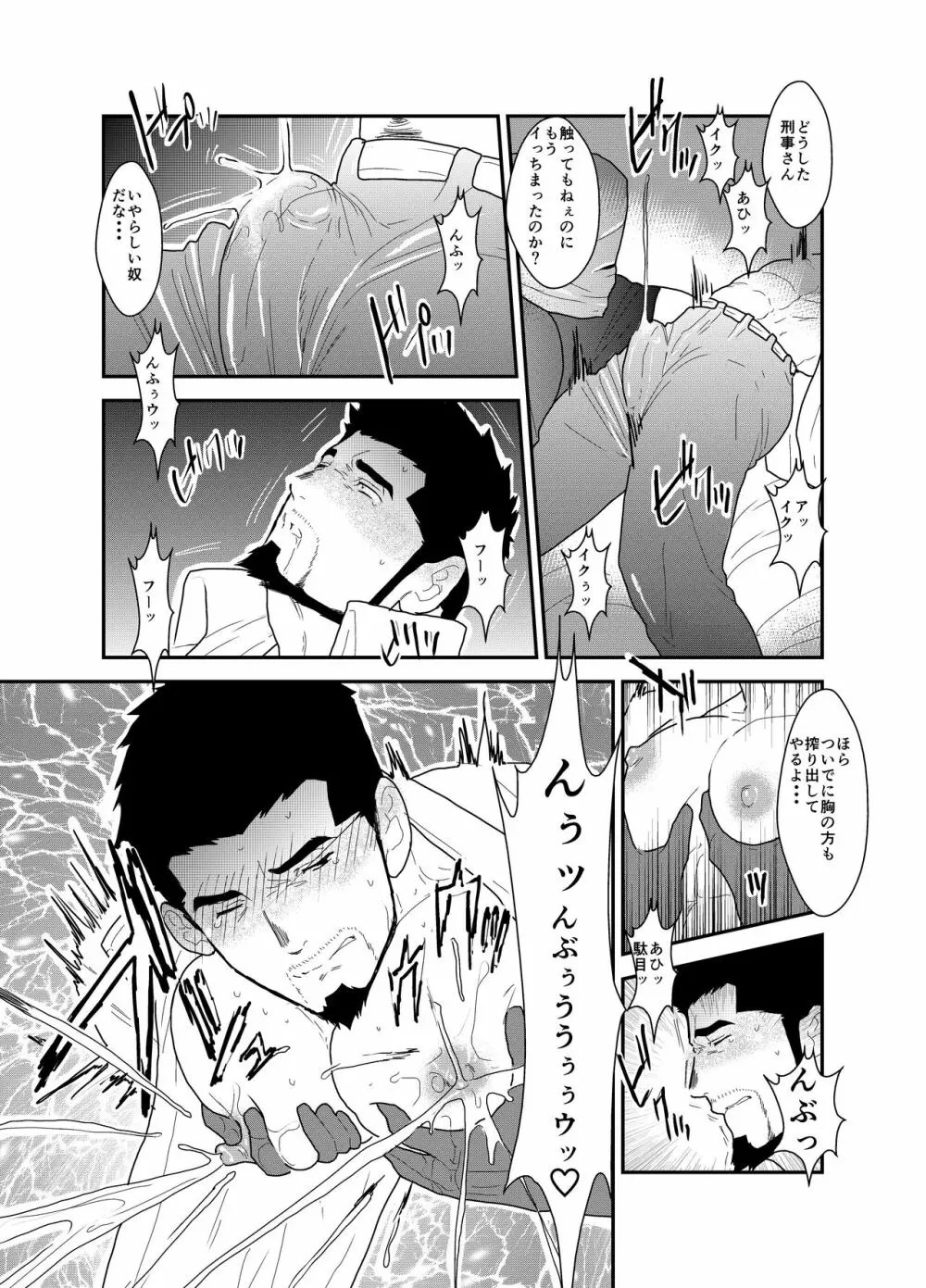 偽りの餌食 Page.13