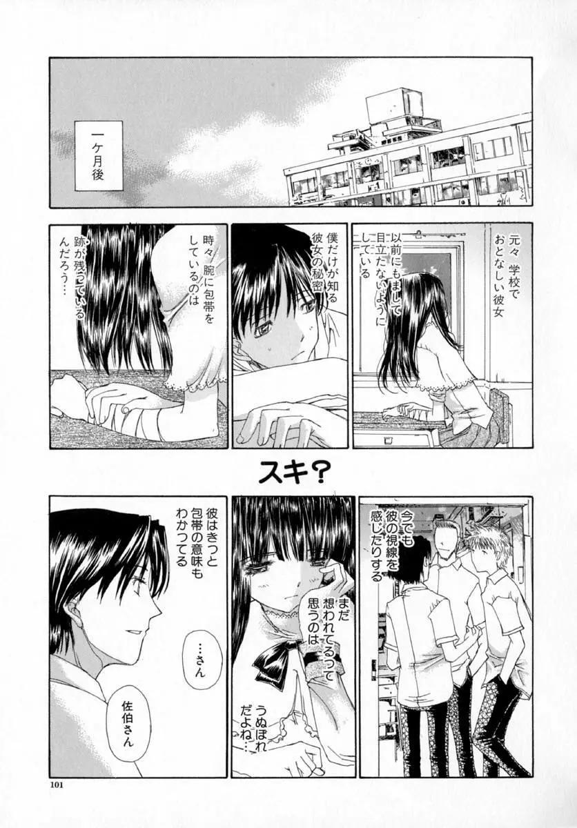 アネモネ～紅花翁草 Page.105