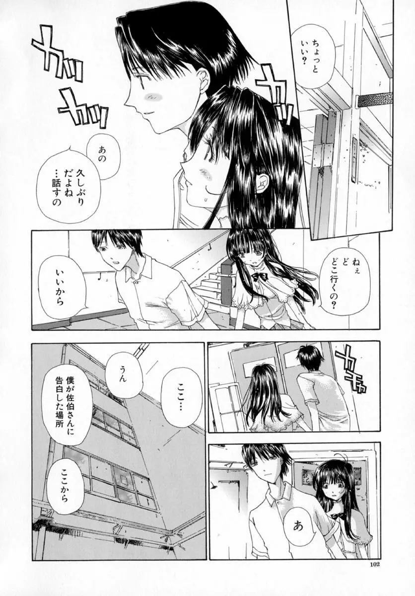 アネモネ～紅花翁草 Page.106