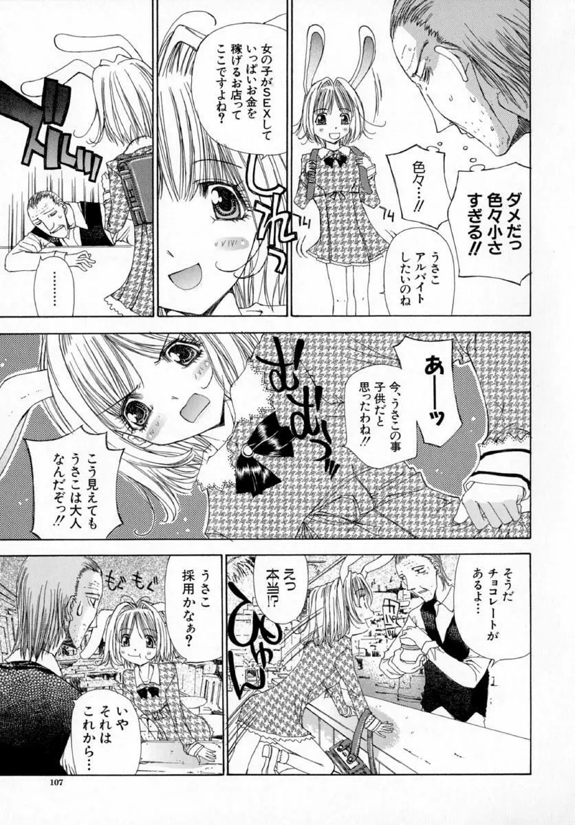 アネモネ～紅花翁草 Page.111