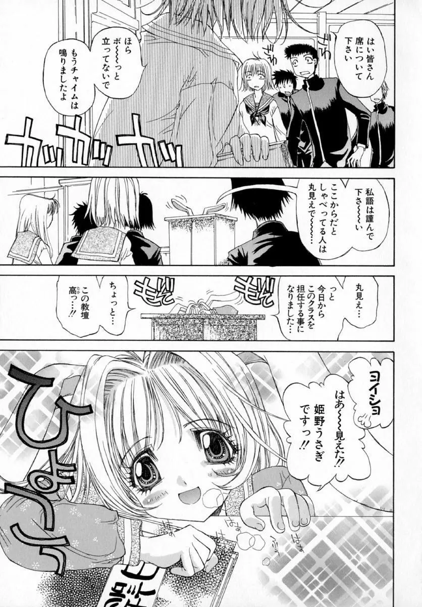 アネモネ～紅花翁草 Page.119