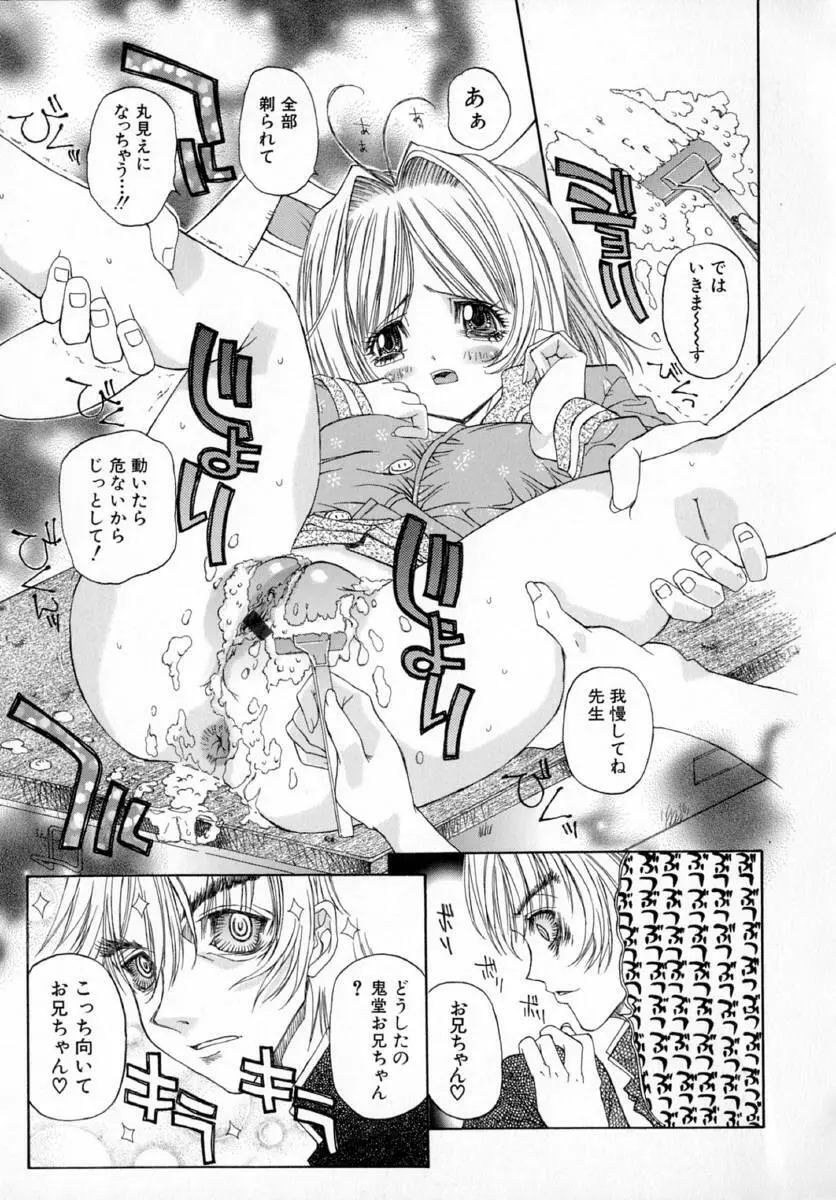 アネモネ～紅花翁草 Page.127