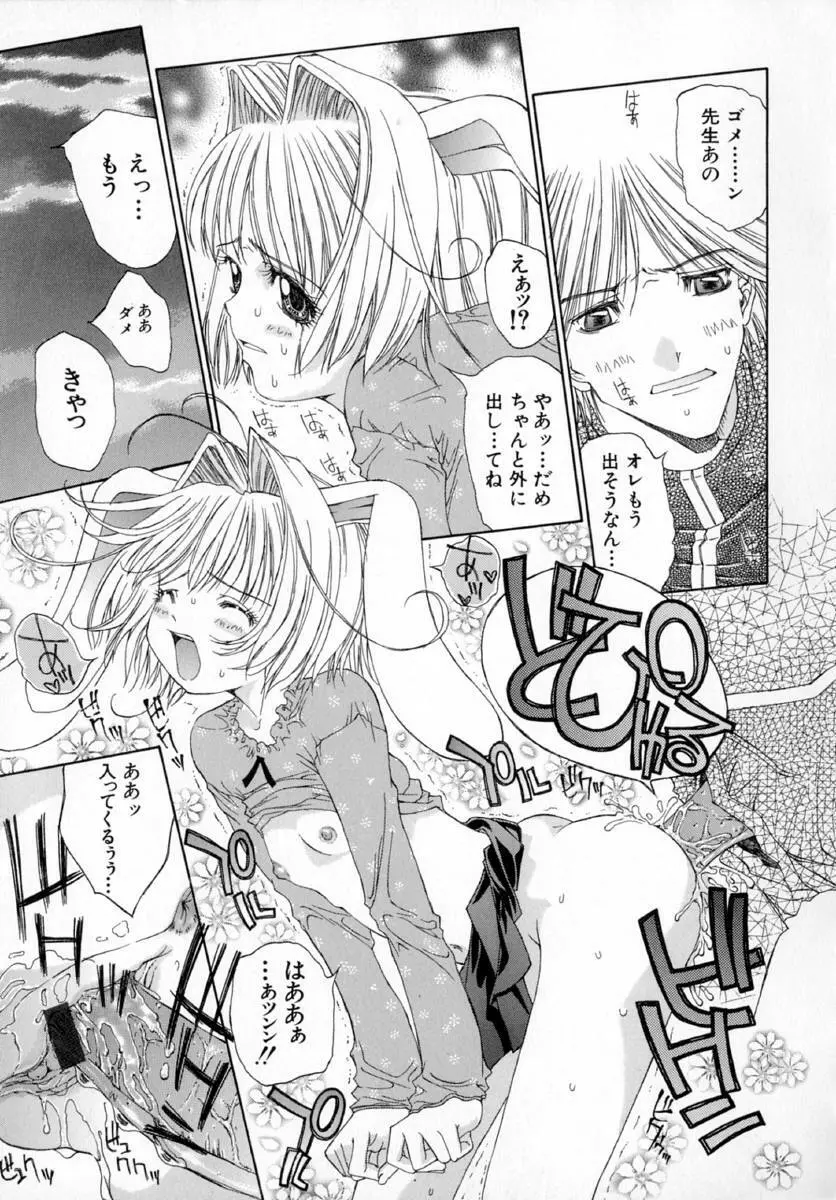 アネモネ～紅花翁草 Page.147