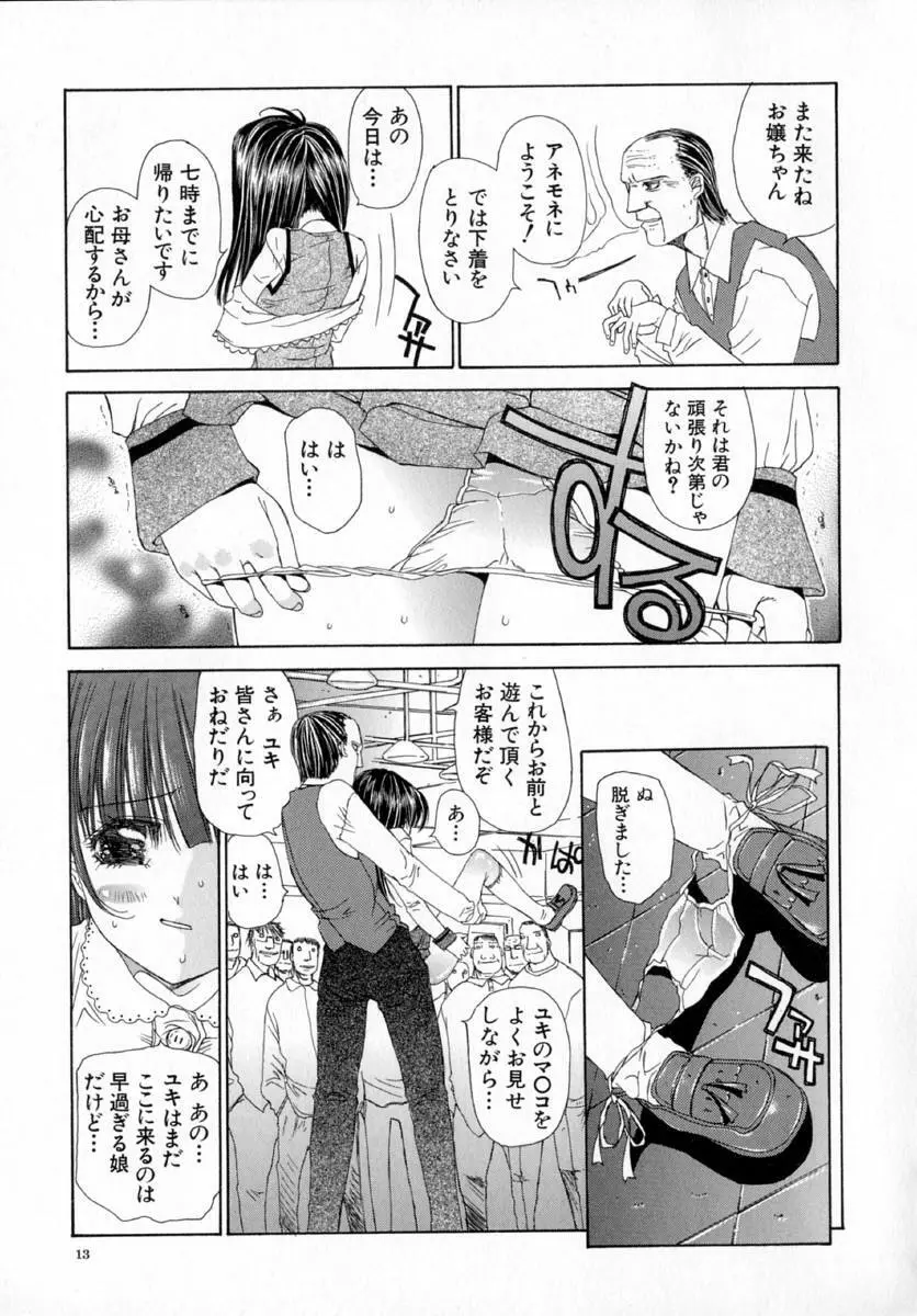 アネモネ～紅花翁草 Page.17