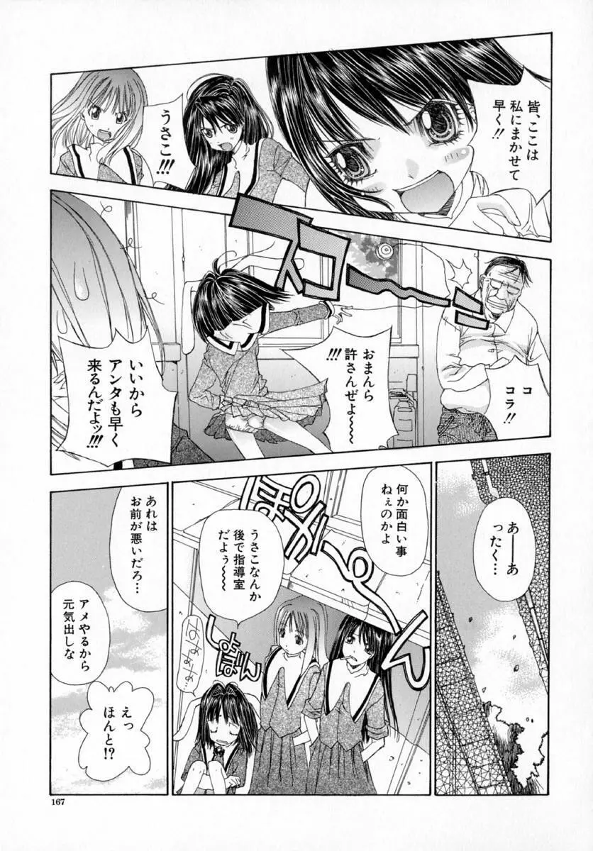 アネモネ～紅花翁草 Page.171