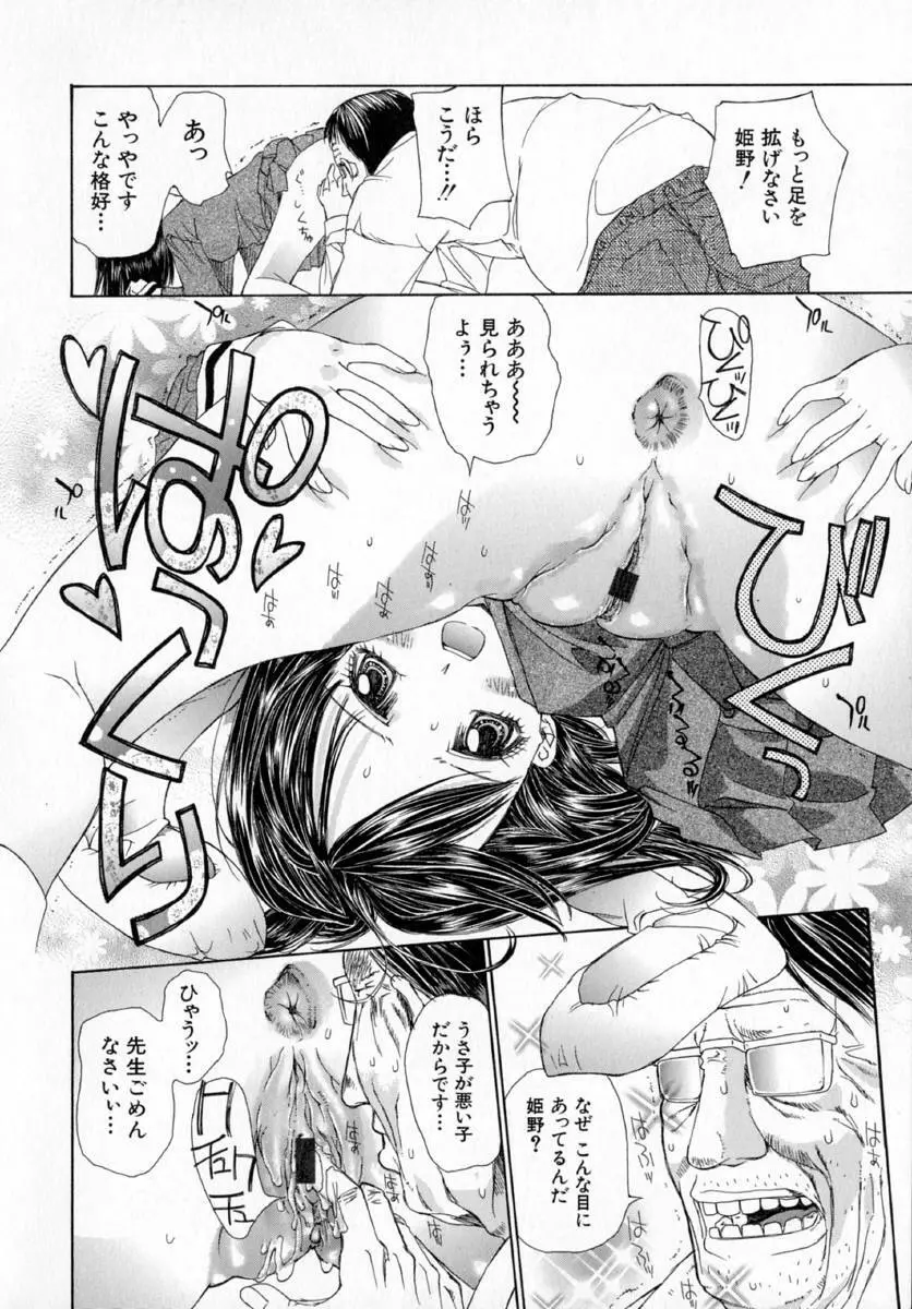 アネモネ～紅花翁草 Page.176