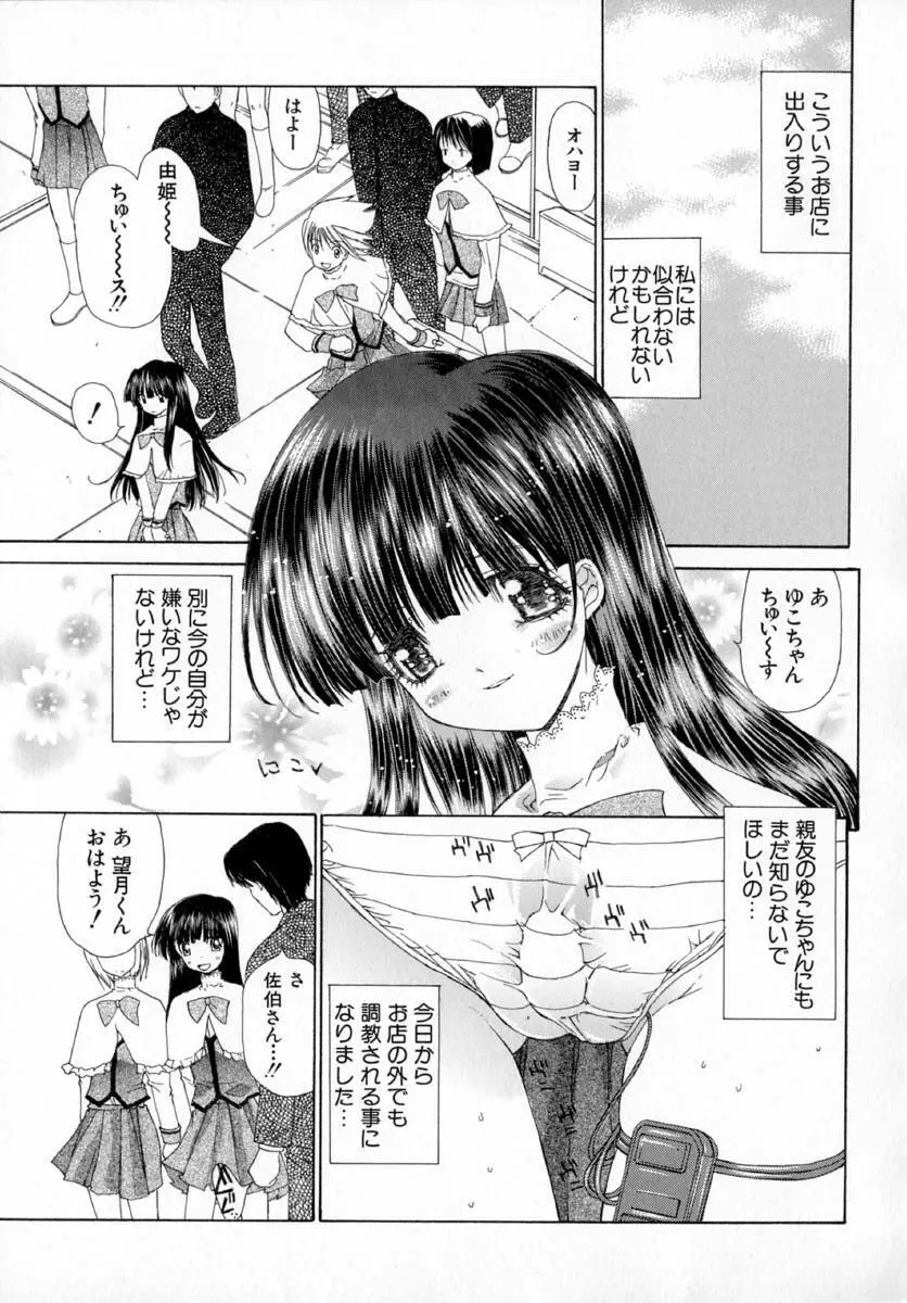 アネモネ～紅花翁草 Page.25