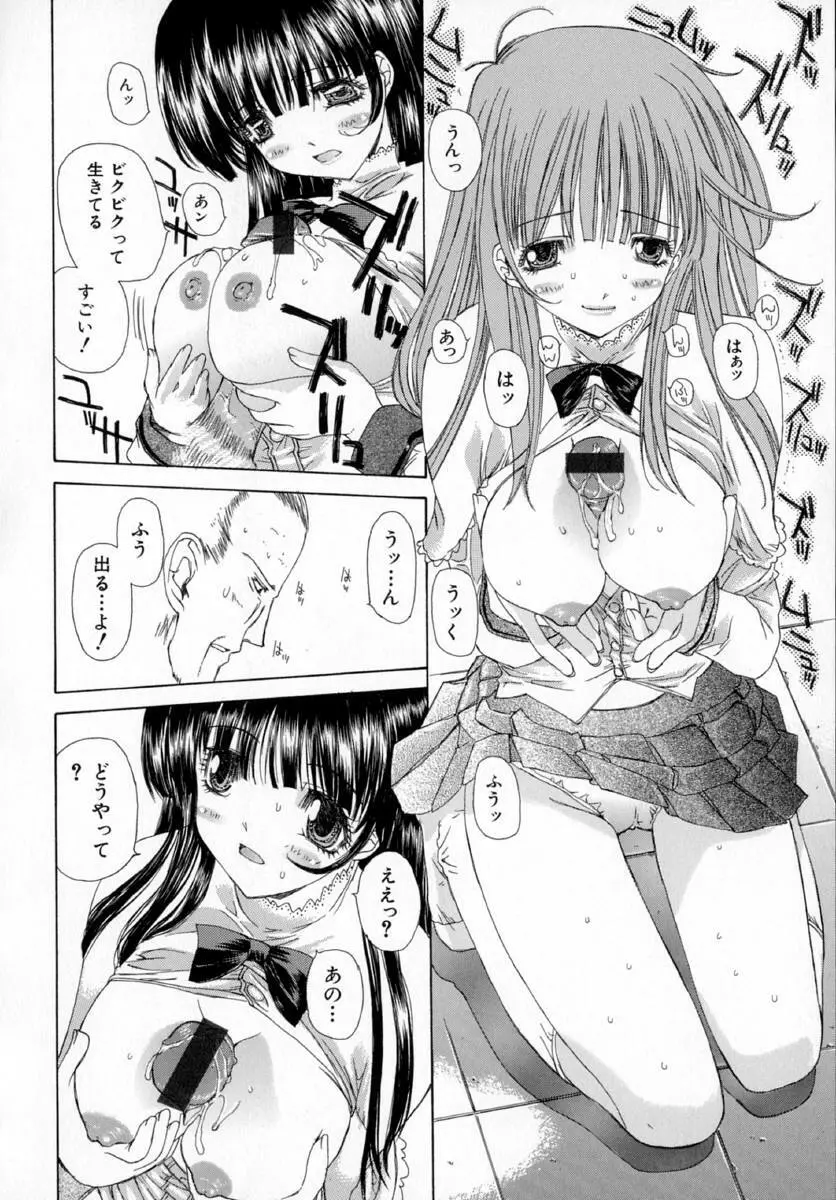 アネモネ～紅花翁草 Page.42