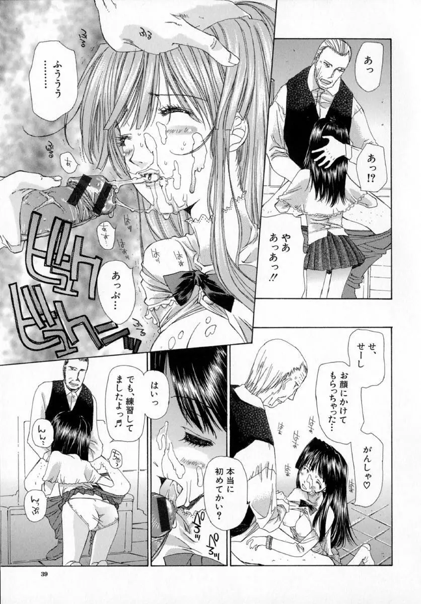 アネモネ～紅花翁草 Page.43