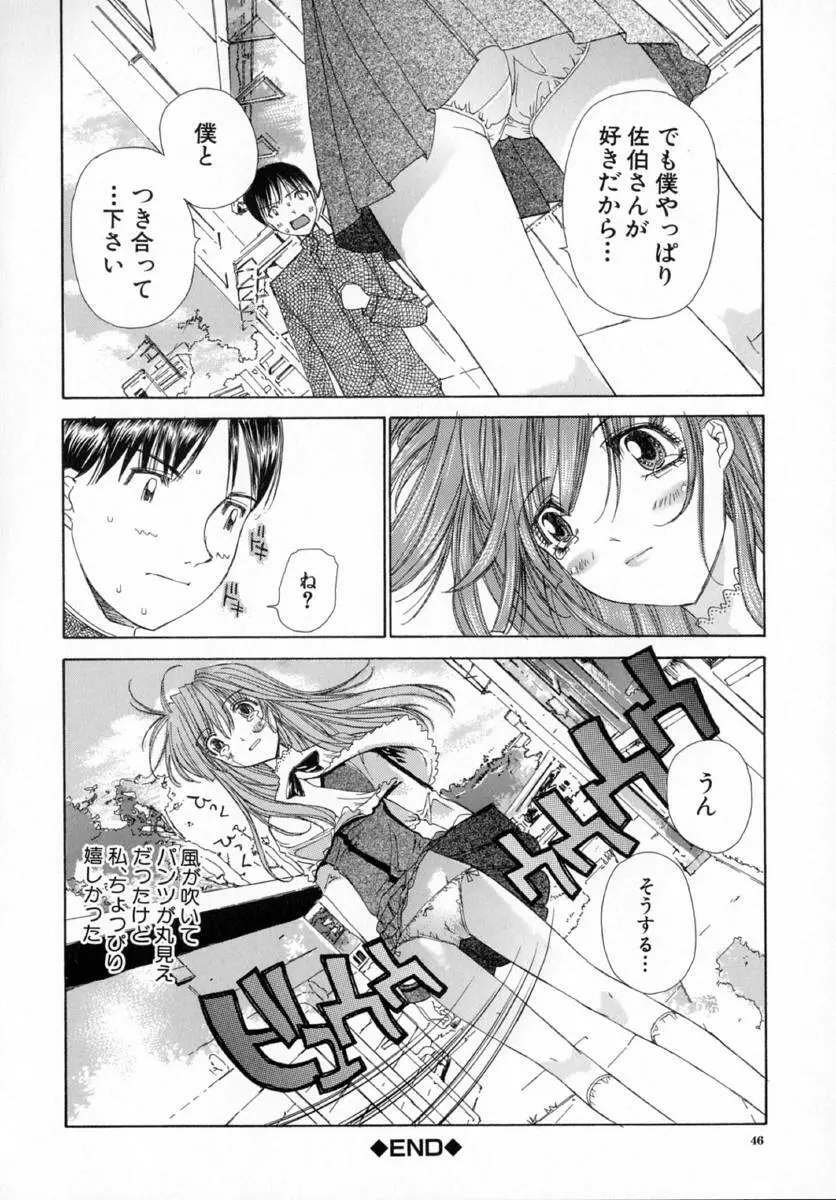 アネモネ～紅花翁草 Page.50