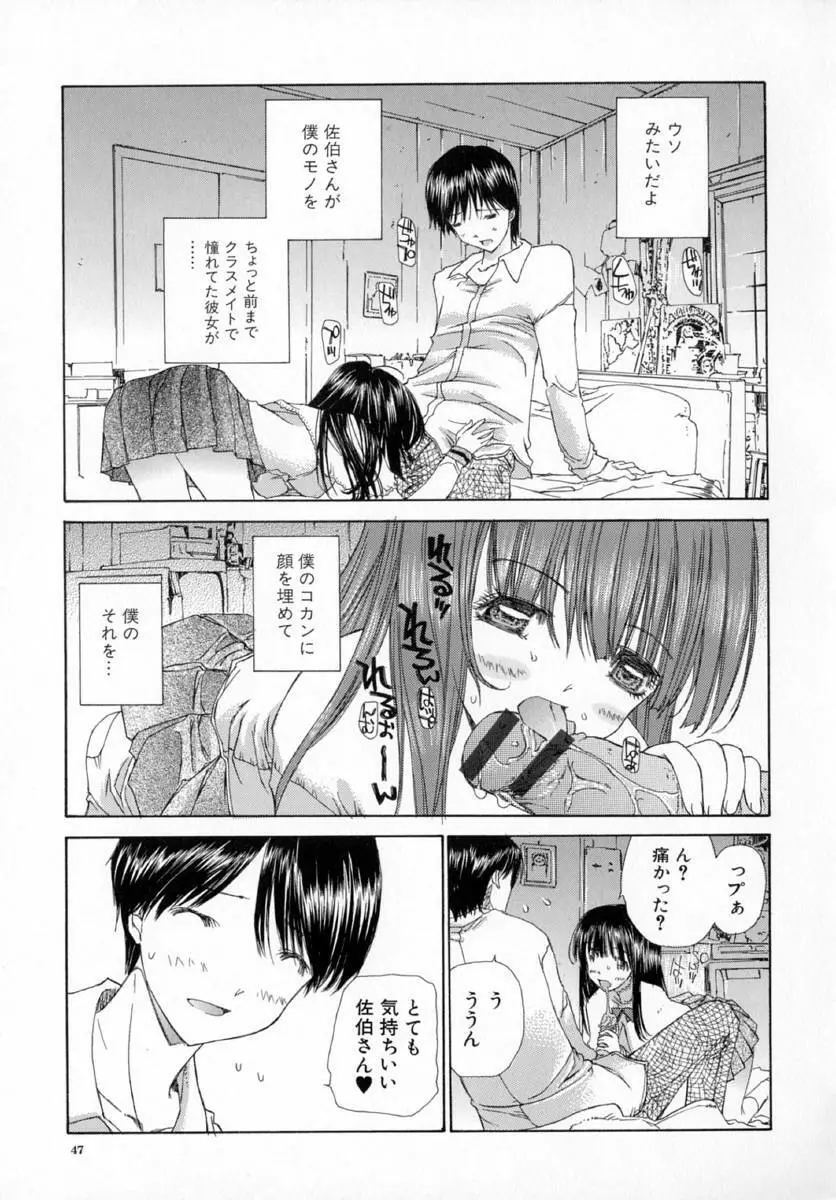 アネモネ～紅花翁草 Page.51