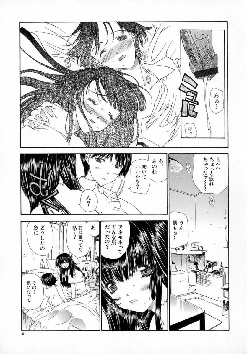 アネモネ～紅花翁草 Page.65